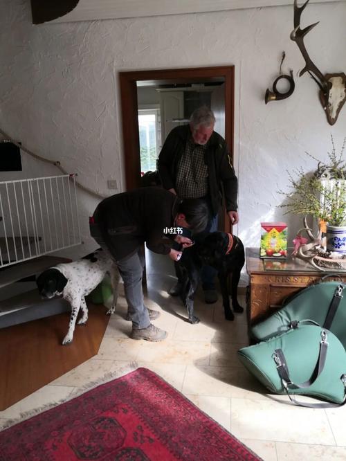 20221130090539_85721