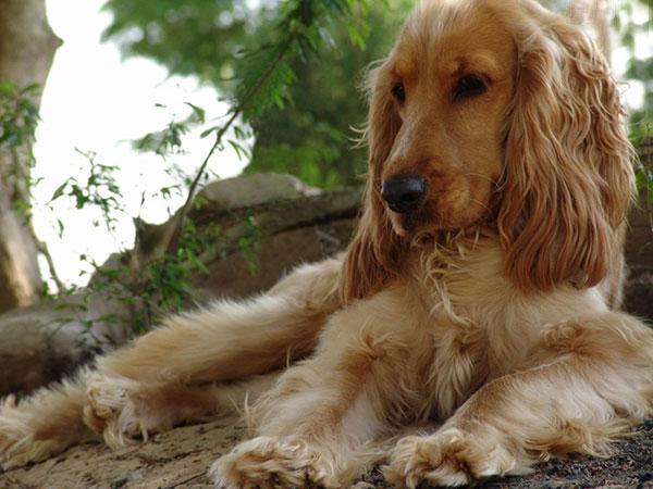 20221130164055_71748