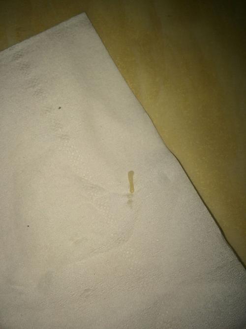 20221130164918_67046