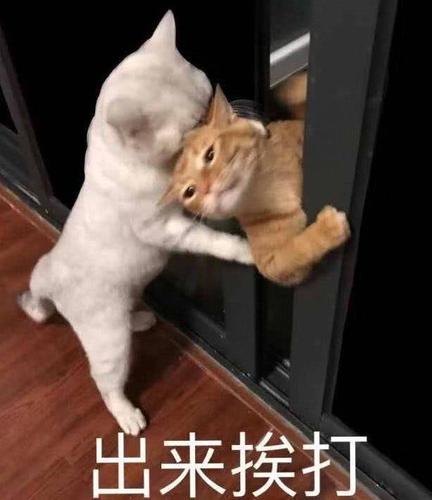 20221201023353_76396 20221201023353_76396