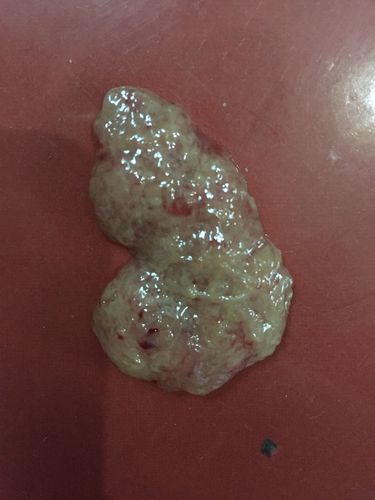 20221201131345_65927 20221201131345_65927