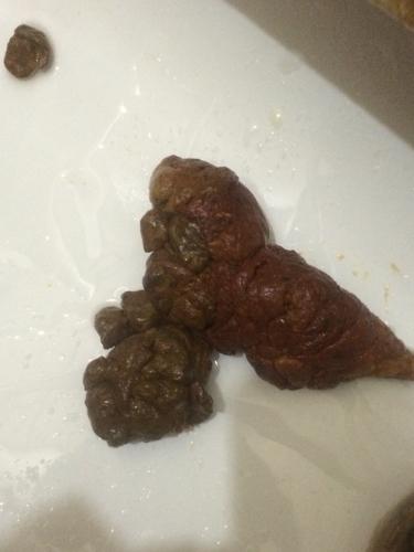 20221201131345_71412 20221201131345_71412