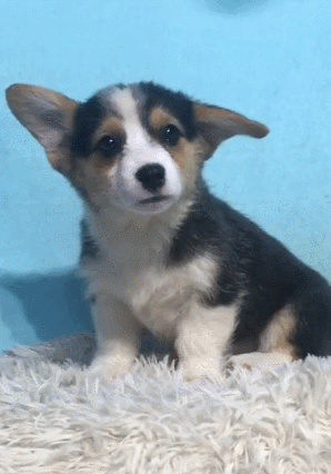 20221201132527_31574 20221201132527_31574