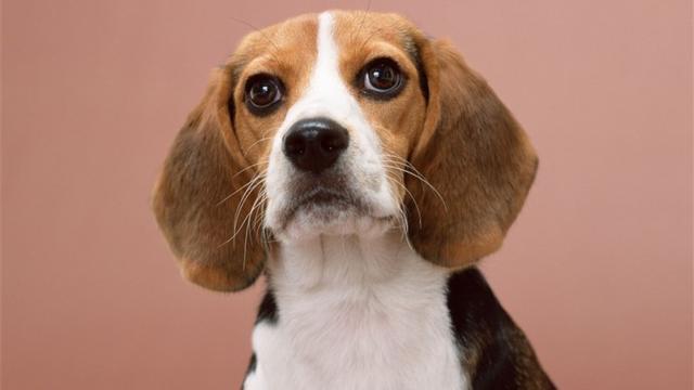 20221201145739_46030 20221201145739_46030