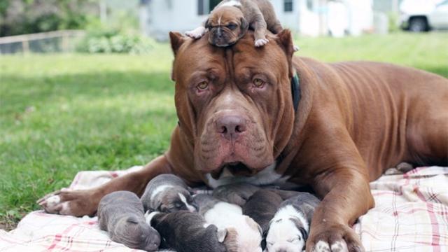 20221201145739_49443 20221201145739_49443