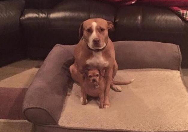 20221201150050_55522