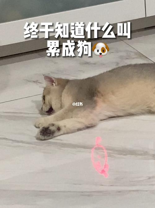 20221201151901_26798 20221201151901_26798