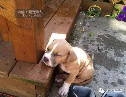 20221201151902_39565 20221201151902_39565