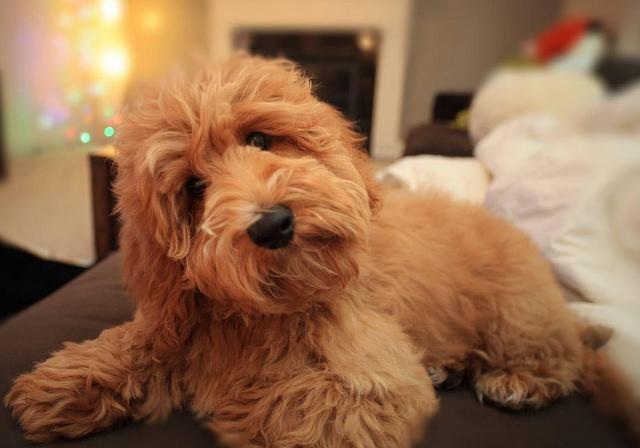 20221201160821_16346