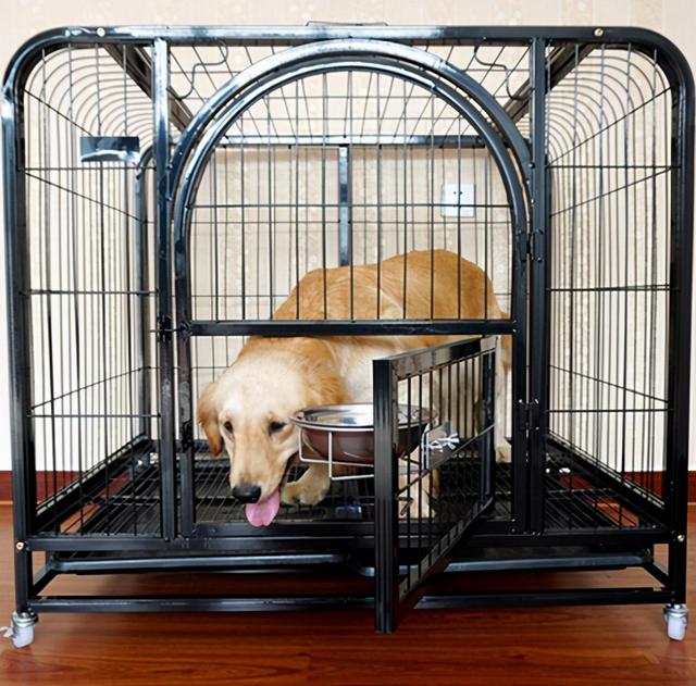 20221201160821_58089