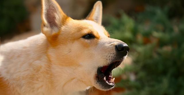 20221201161340_96325