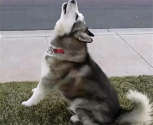 20221201161341_43812