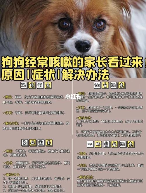 20221202083150_80717 20221202083150_80717