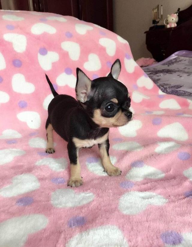 20221102192515_70020