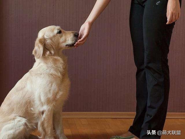 20221102214314_38729