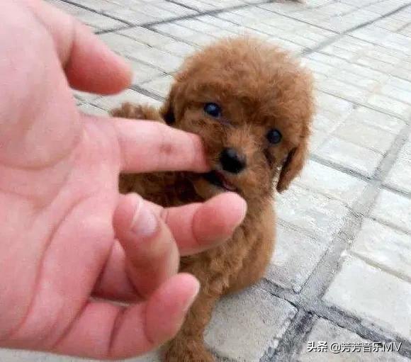 20221102214315_70494