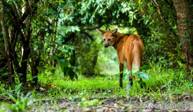 20221106185612_85895 20221106185612_85895