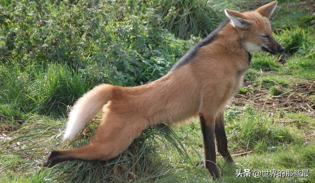 20221106185613_41889 20221106185613_41889