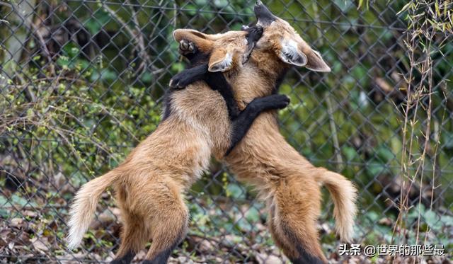 20221106185624_15597 20221106185624_15597