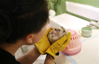 20221107093719_97396 20221107093719_97396