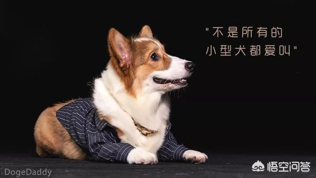 20221107120854_65442 20221107120854_65442