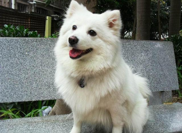 20221107133707_19107