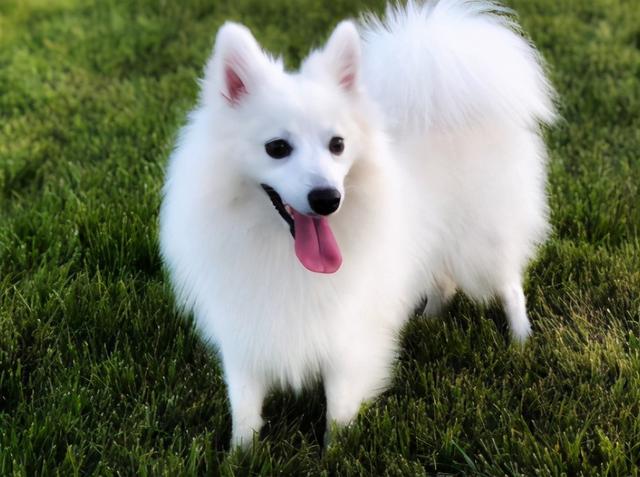 20221107133707_69723