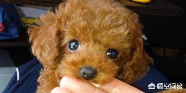 20221107135725_47645