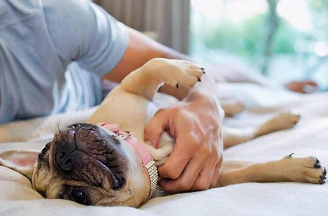 20221108133047_16061