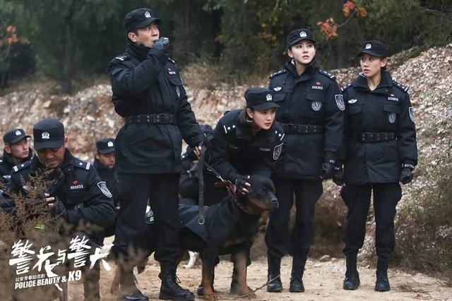 *** 警犬卡尔(警犬卡尔 电视剧)-警犬训练器材厂家 _警犬训练用品_工作犬训练用品-南京开久警犬装备