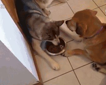 20221108185225_41823 20221108185225_41823