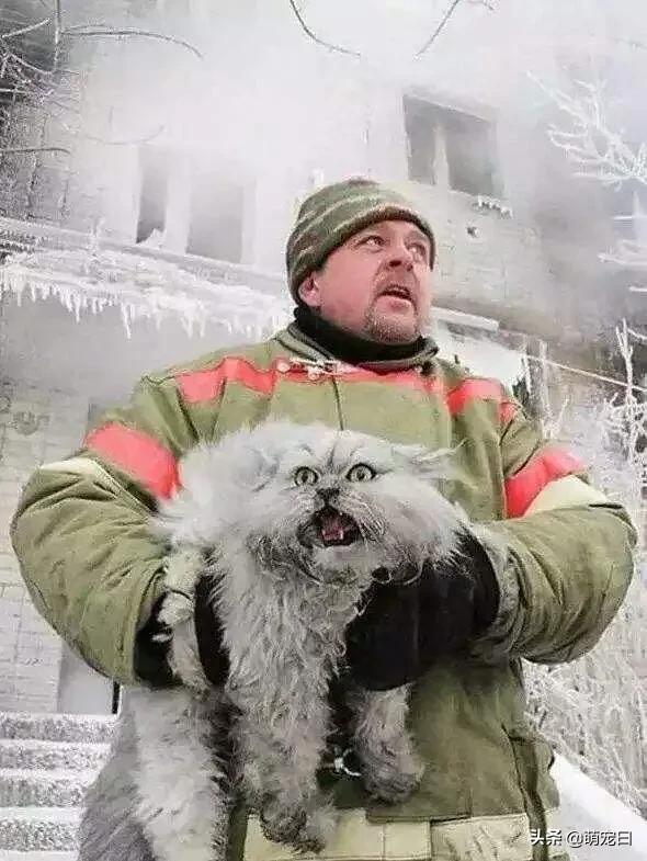 20221108200501_93569 20221108200501_93569