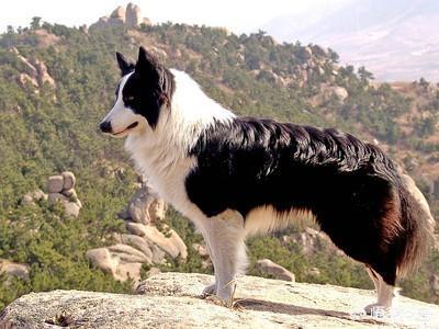 20221110101007_26586