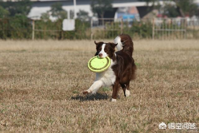 20221110101007_99546