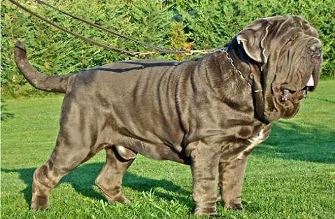 20221110110206_20896 20221110110206_20896