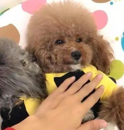 20221111150039_98630