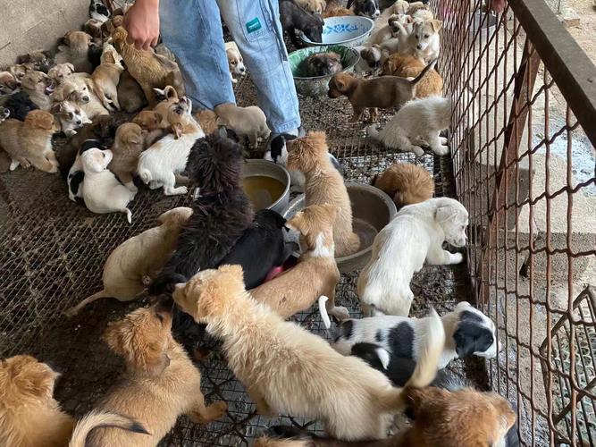 20221112131758_61364