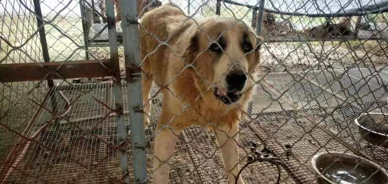 20221112131759_60223