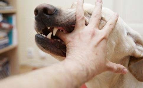 20221112135622_71940