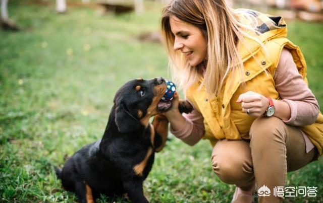 20221112190245_82547