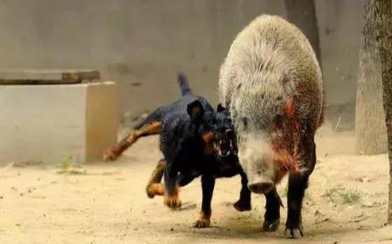 20221112193913_69045