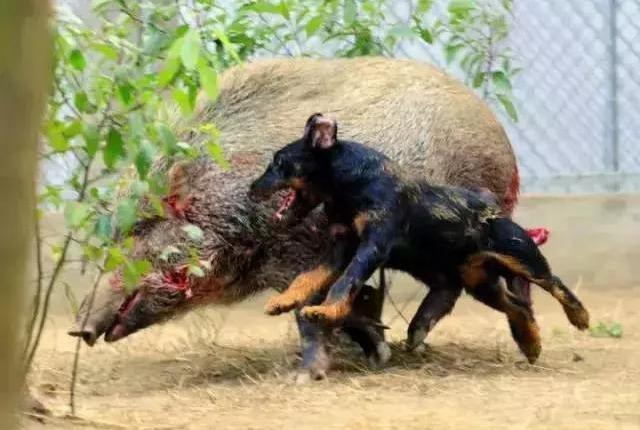 20221112193913_90820