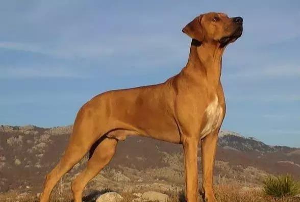 20221112193914_96103