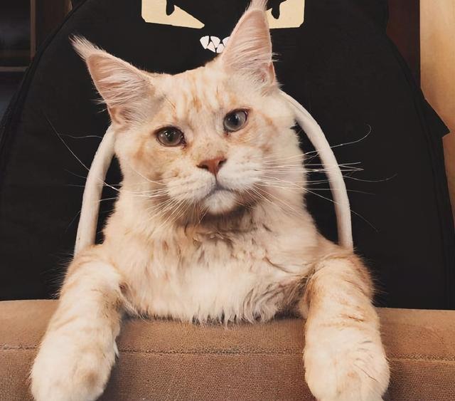 20221113083250_13894 20221113083250_13894