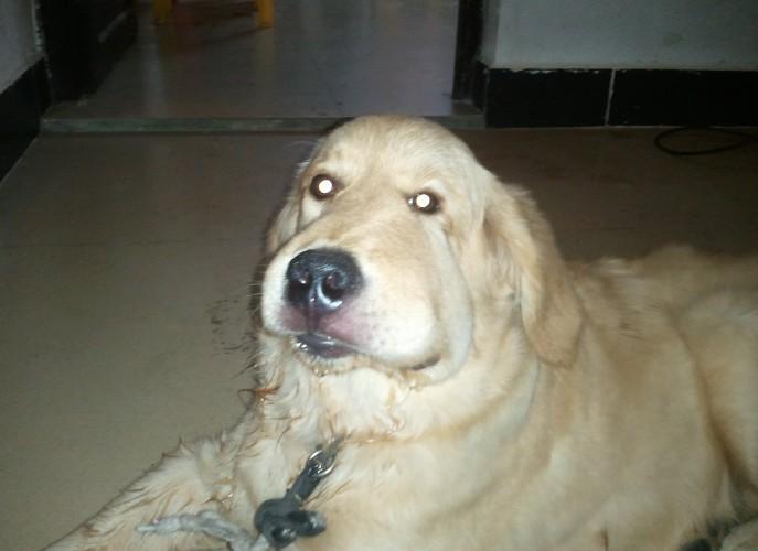 20221113122533_58881