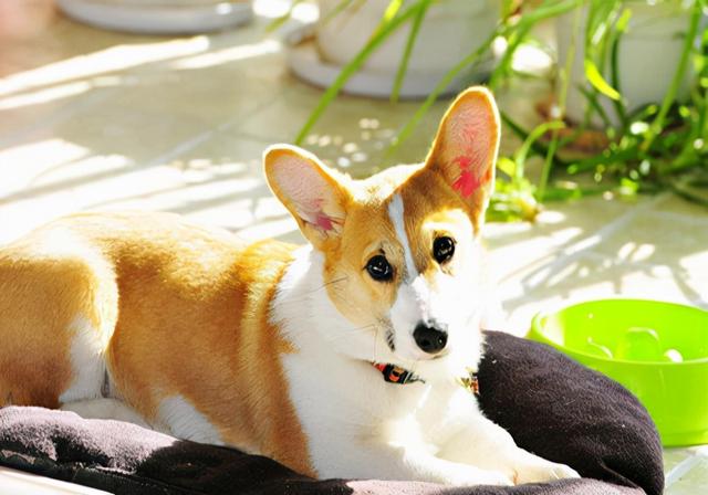 20221113162300_18290 20221113162300_18290