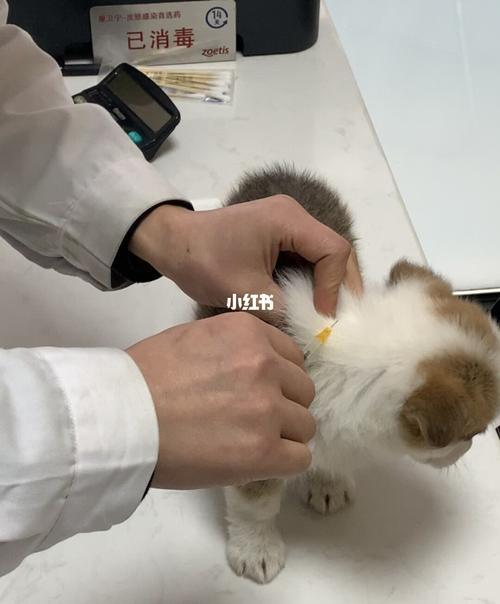 20221113201521_99994 20221113201521_99994