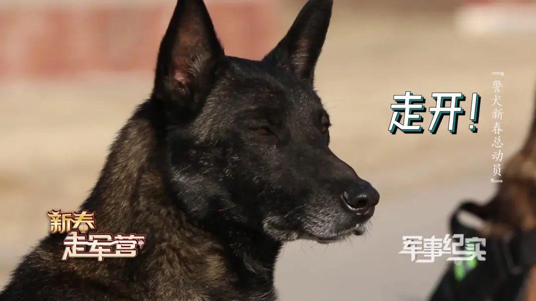 20221114131043_58114