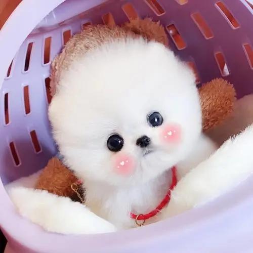 20221114174453_22582