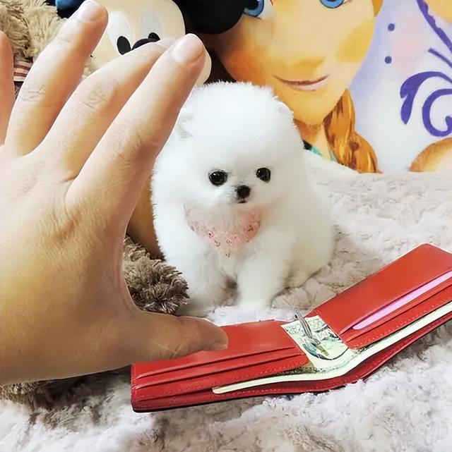 20221114174453_23084